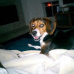 Meet your Posher, Jared